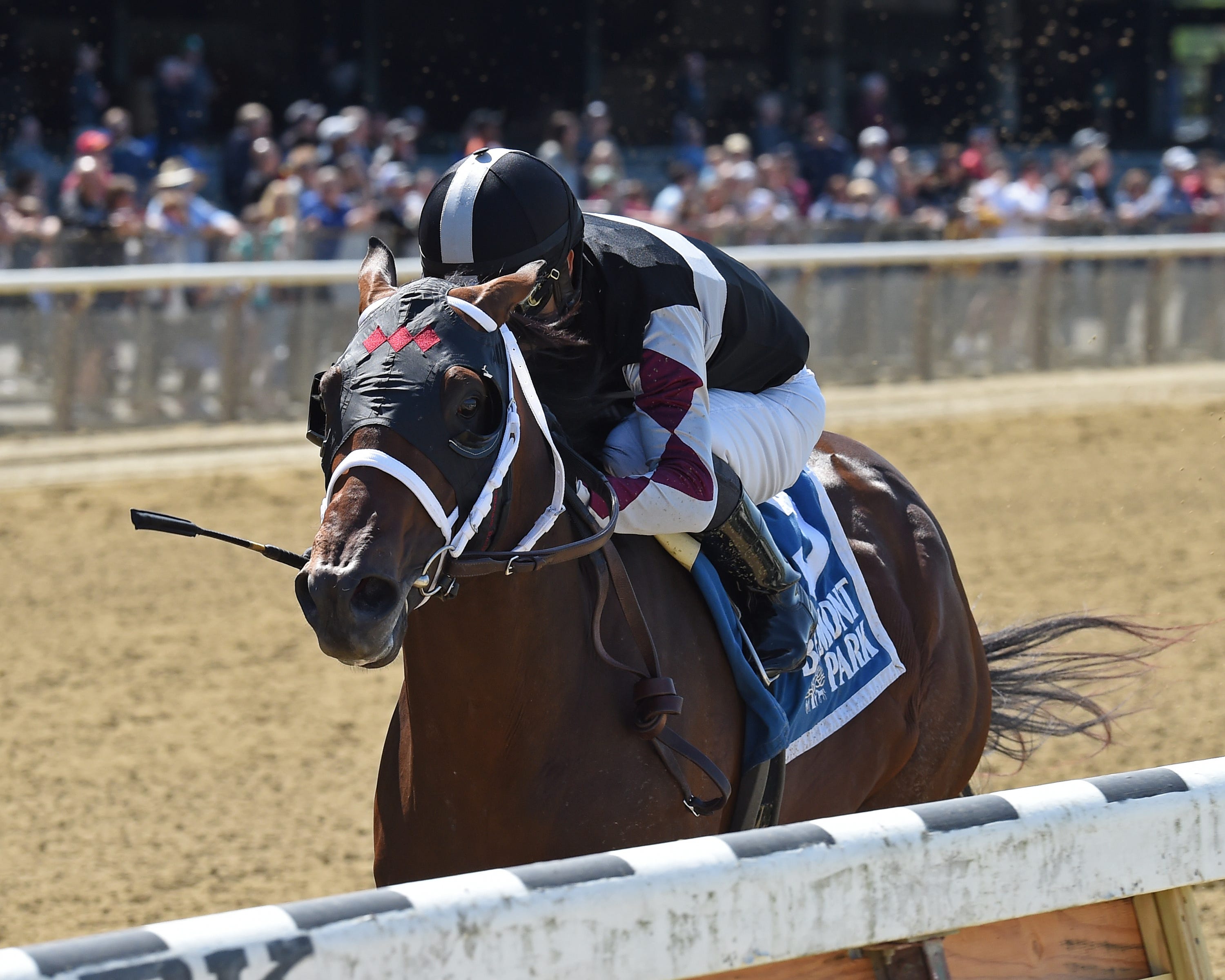 Global Campaign mapping out path to Travers Stakes